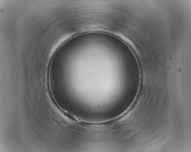 X0000072981333200608041233