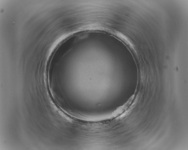 X0000072981334200608041233