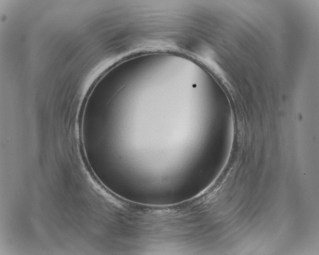 X0000072981335200608041233