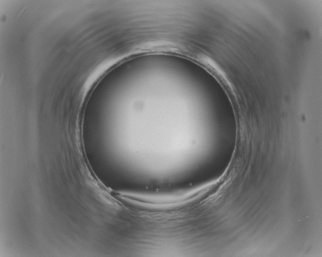 X0000072981336200608041233