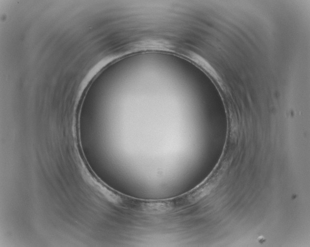 X0000072981339200608041233