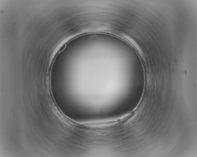 X0000072981340200608041233