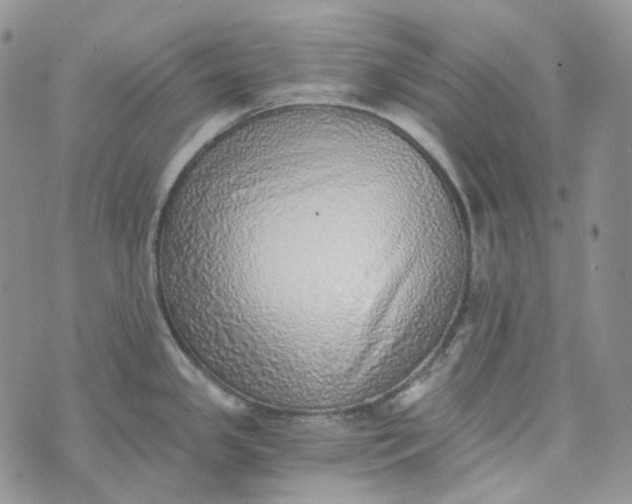 X0000072981341200608041233