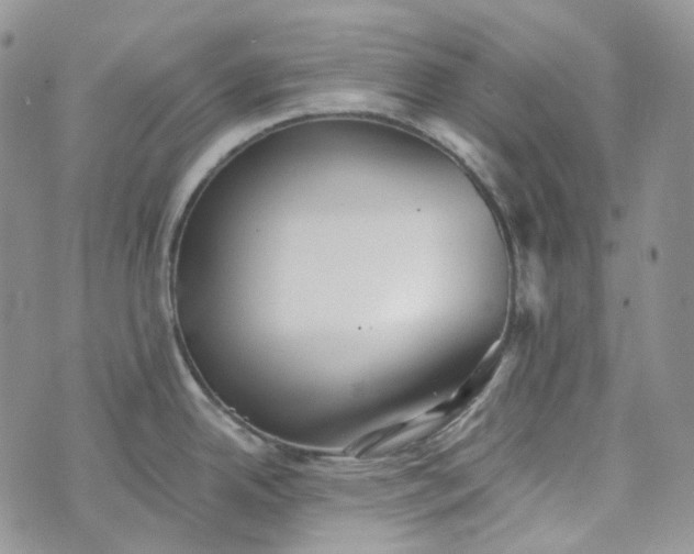 X0000072981342200608041233