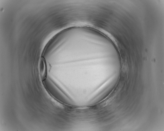 X0000072981343200608041234