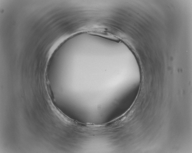 X0000072981344200608041234