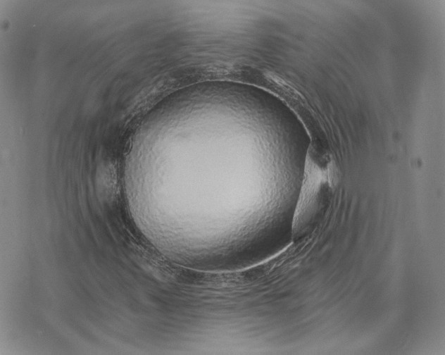 X0000072981347200608041233