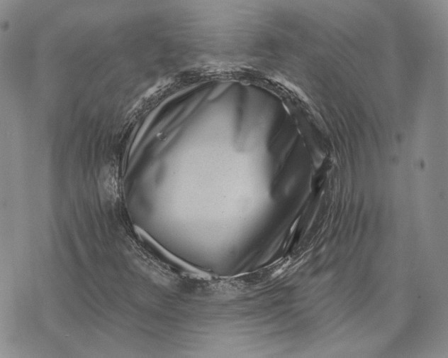 X0000072981348200608041233