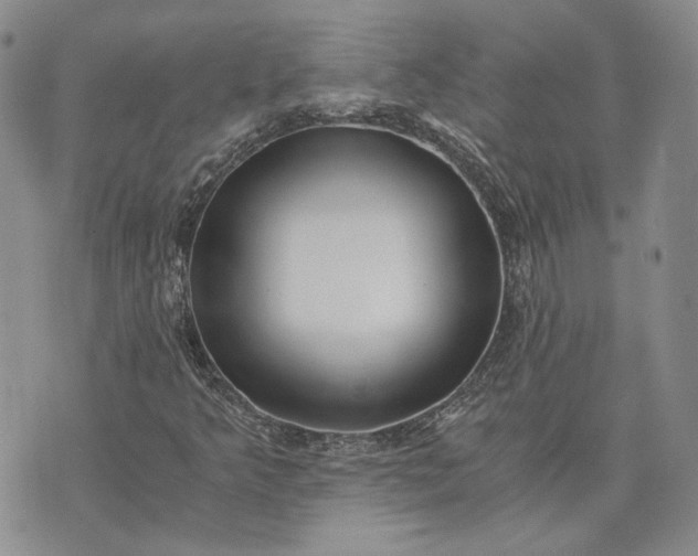 X0000072981349200608041233