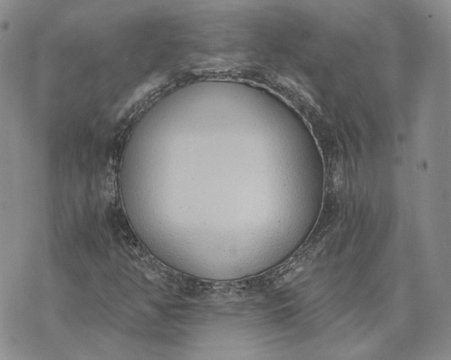 X0000072981350200608041233