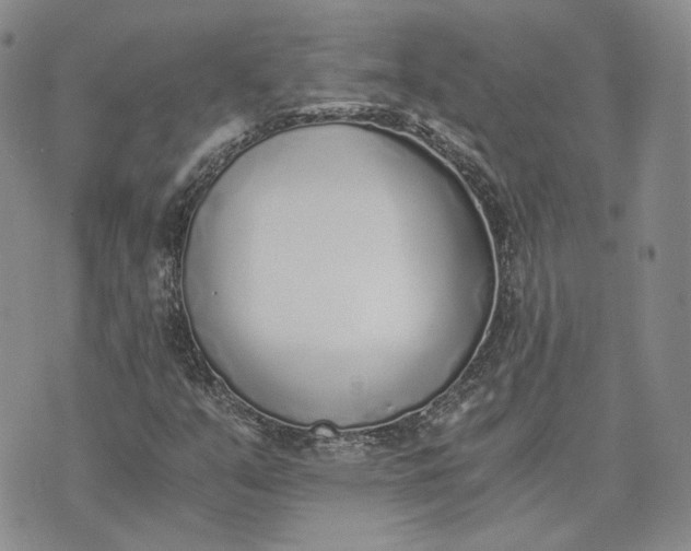 X0000072981351200608041233