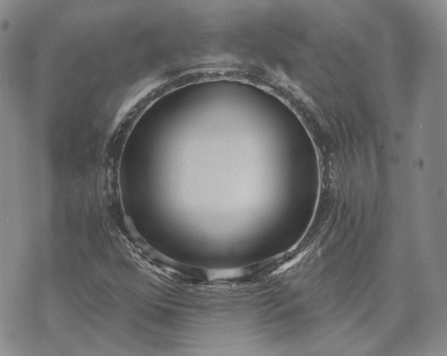 X0000072981352200608041233