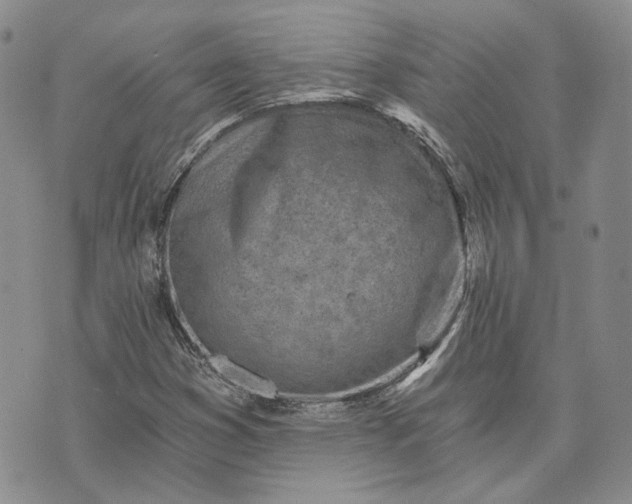 X0000072981353200608041233