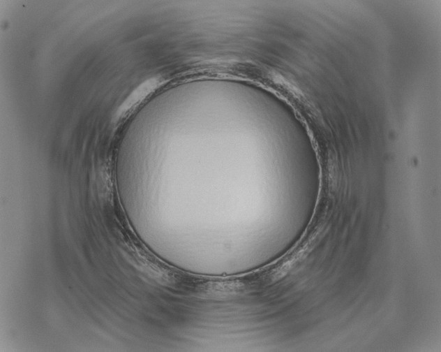 X0000072981354200608041233