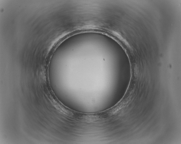 X0000072981356200608041233