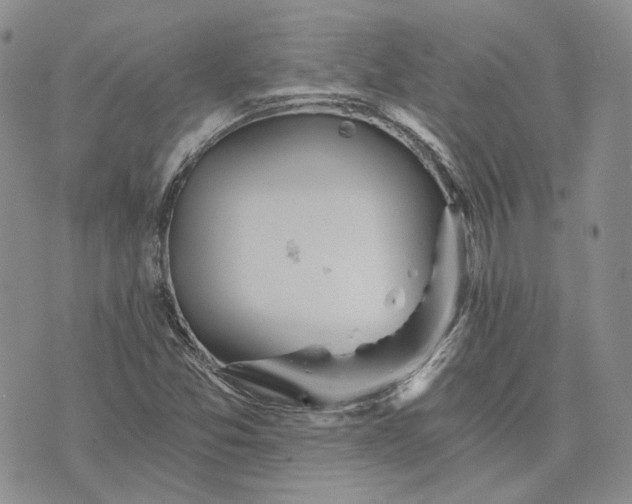 X0000072981357200608041233