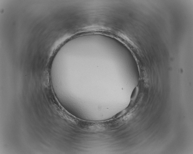 X0000072981358200608041233