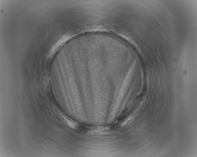 X0000072981359200608041233