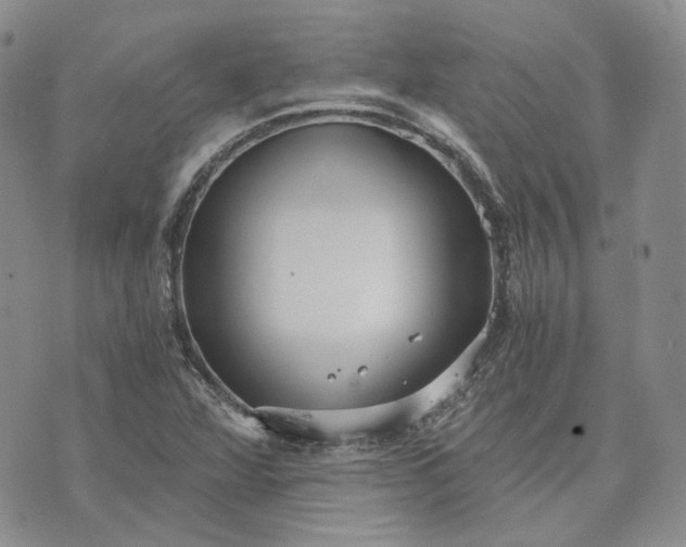 X0000072981360200608041233