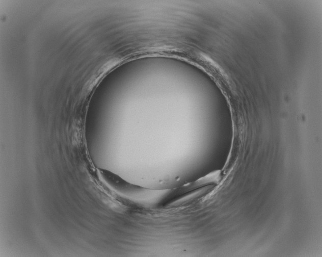 X0000072981361200608041232