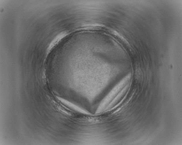 X0000072981362200608041232