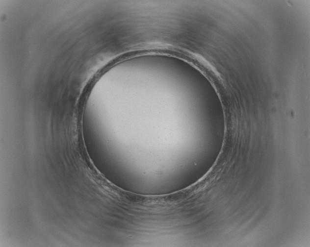 X0000072981364200608041232