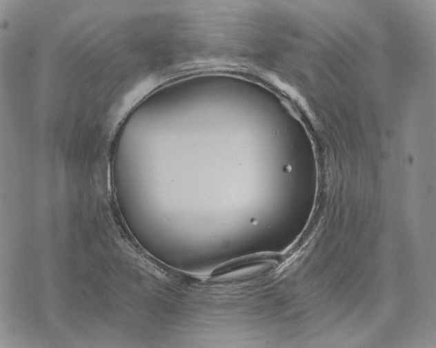 X0000072981365200608041232