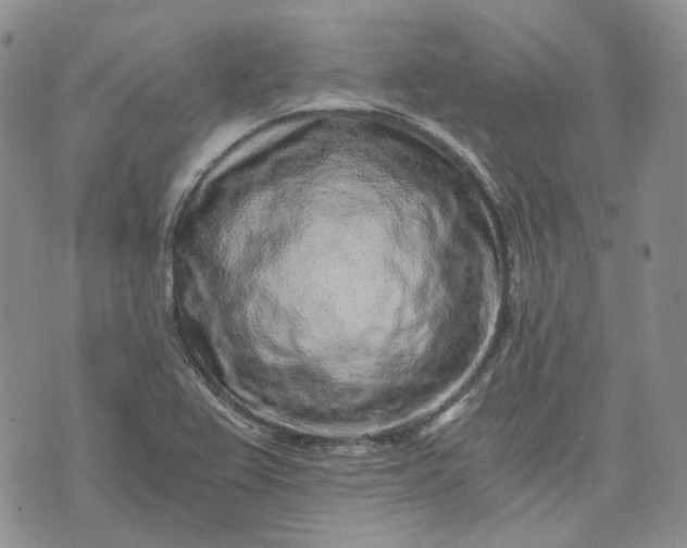 X0000072981367200608041232