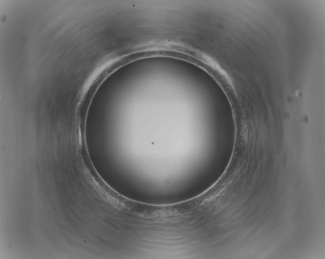 X0000072981368200608041232