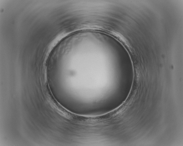 X0000072981371200608041232