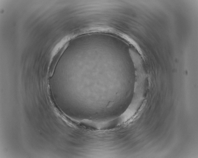 X0000072981373200608041232