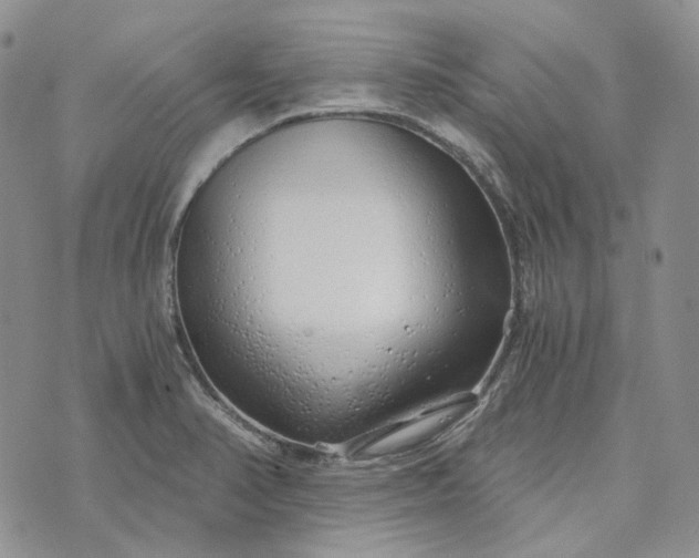 X0000072981374200608041232