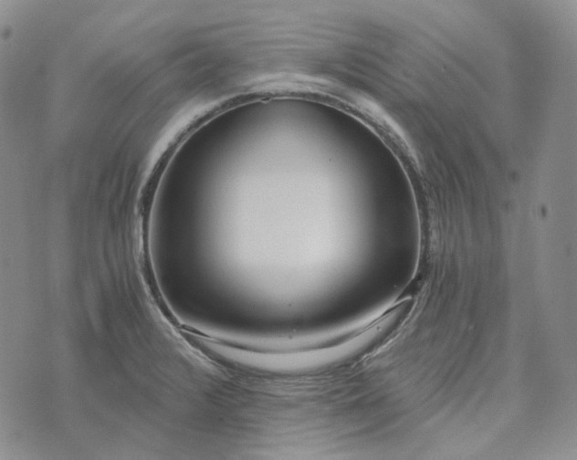 X0000072981376200608041232