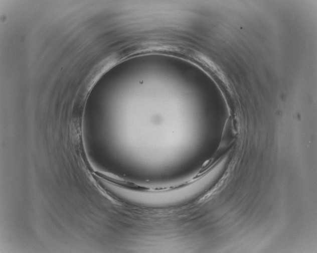 X0000072981377200608041232