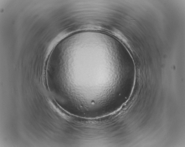 X0000072981379200608041232