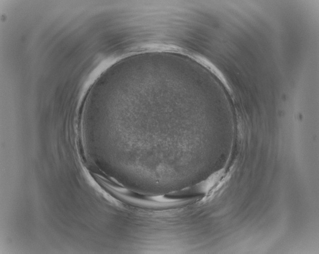 X0000072981381200608041232