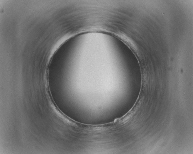 X0000072981382200608041232