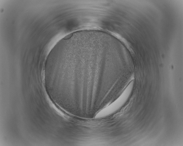 X0000072981383200608041232