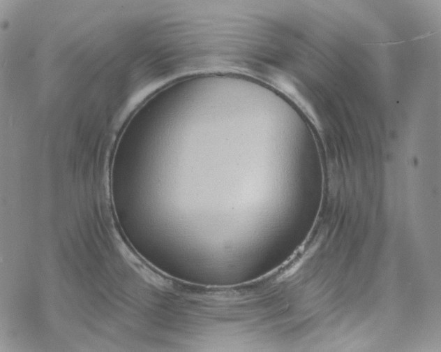 X0000072981388200608041232