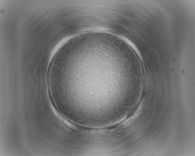 X0000072981389200608041232