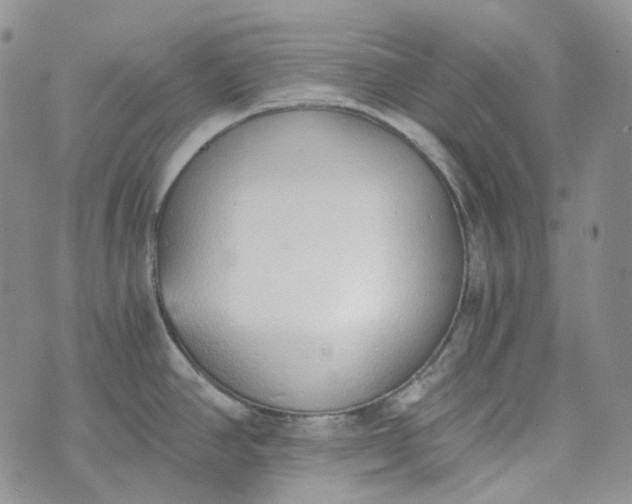 X0000072981390200608041232