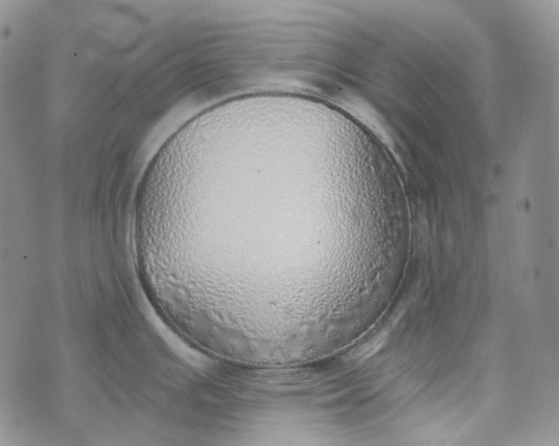 X0000072981391200608041232