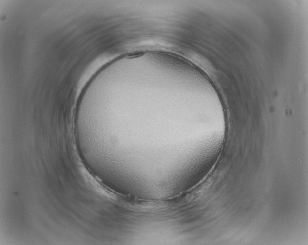 X0000072981392200608041232