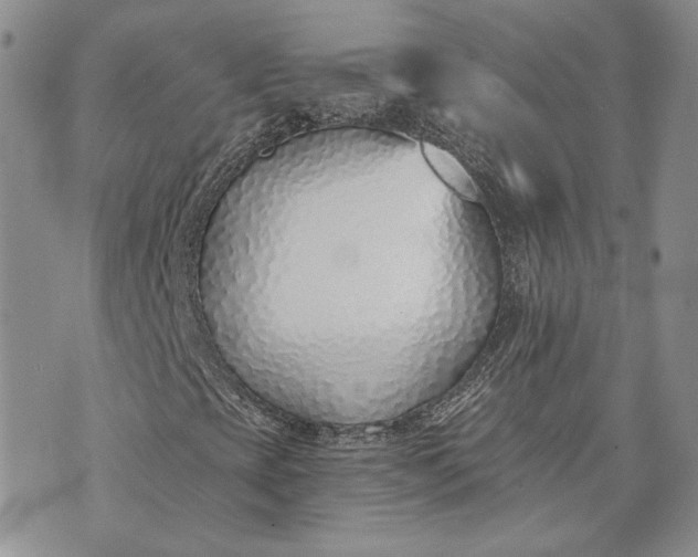 X0000072981393200608041231