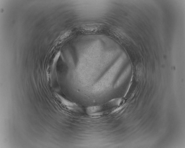 X0000072981394200608041231