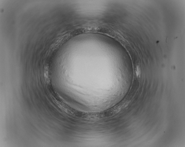 X0000072981396200608041231