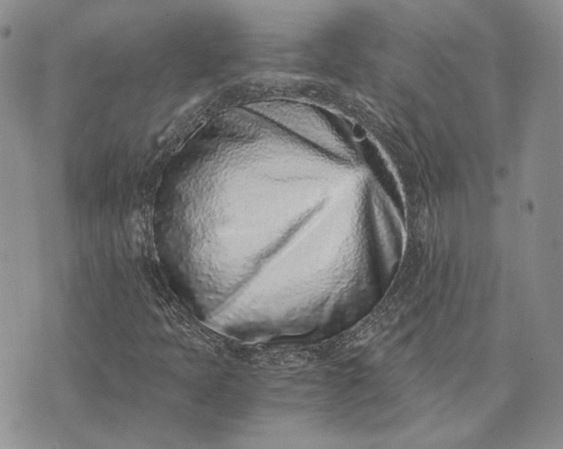 X0000072981397200608041231