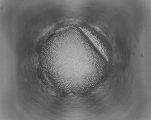 X0000072981399200608041231