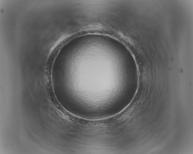 X0000072981400200608041231