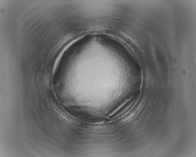 X0000072981401200608041231